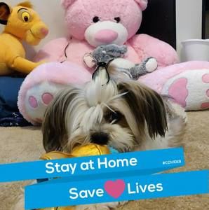 Meet your Posher, Maria florence